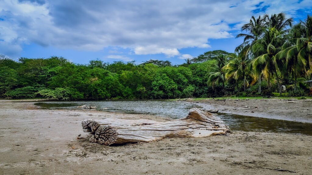 Playa Hermosa Mangroove
