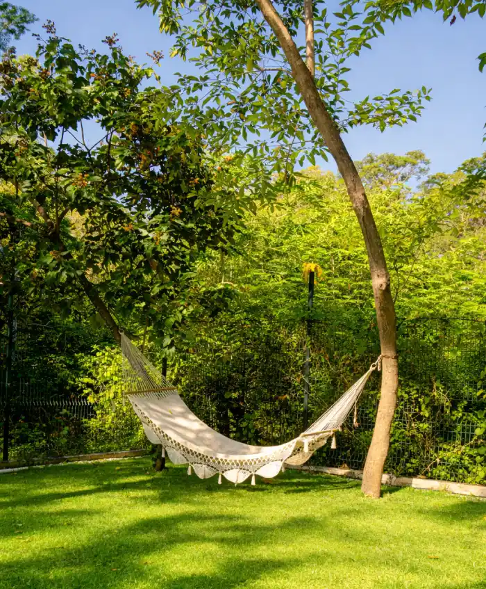 Relaxing hammock in a peaceful, natural setting.